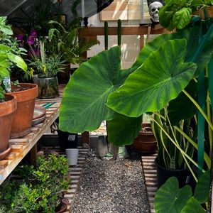 Meet your Posher, Ted